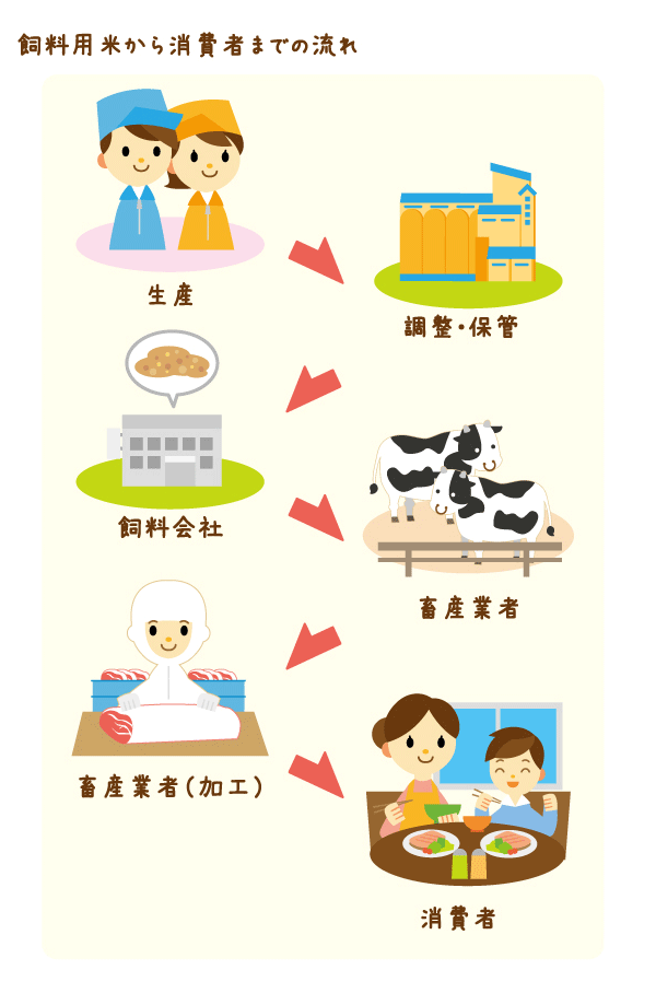 飼料用米から消費者までの流れ