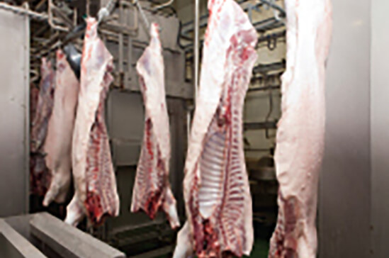 枝肉検査、内臓検査