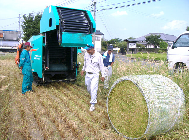熊本の資料イネ作面積は全国一です